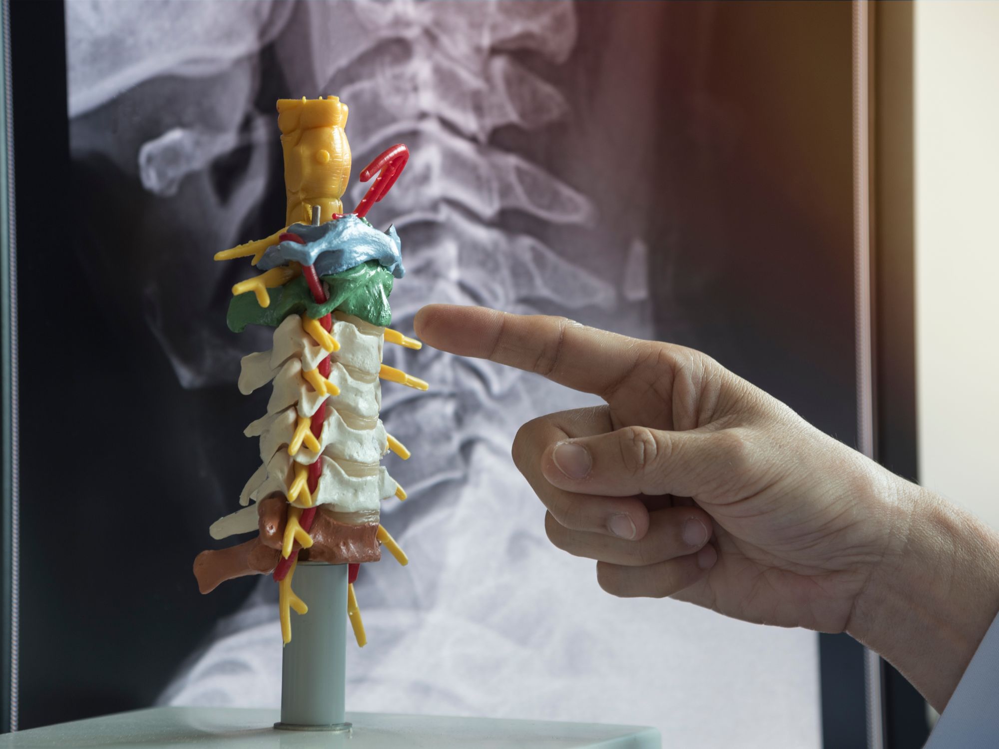 Family Wellness Starts with the Spine