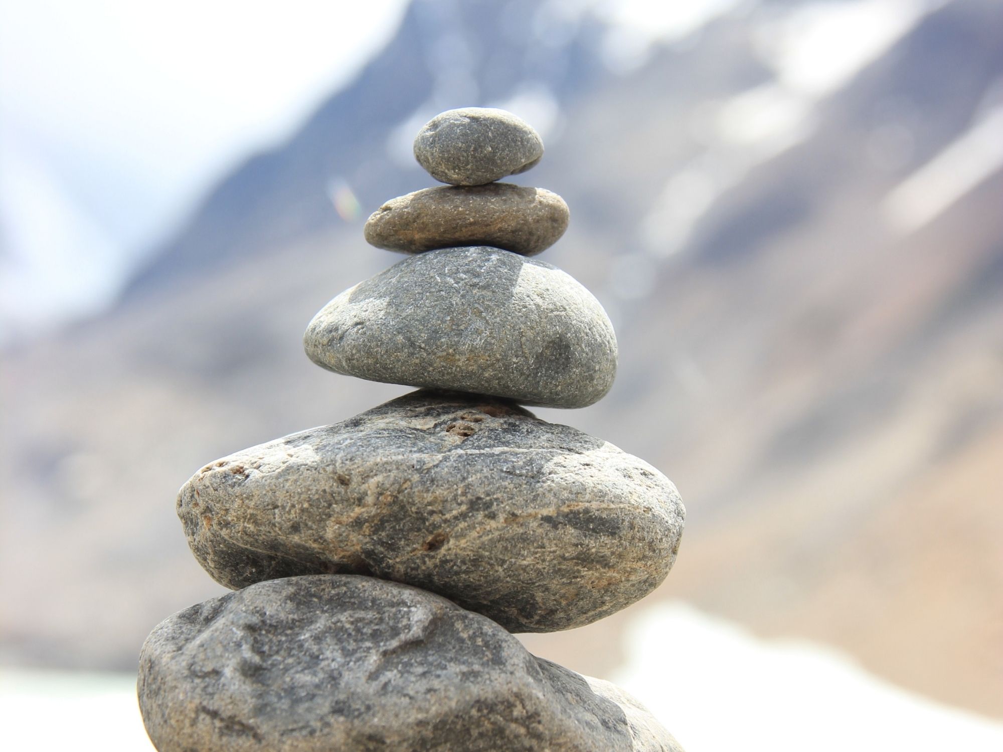 Start 2026 Aligned: How Spinal Health Shapes Your Year Ahead